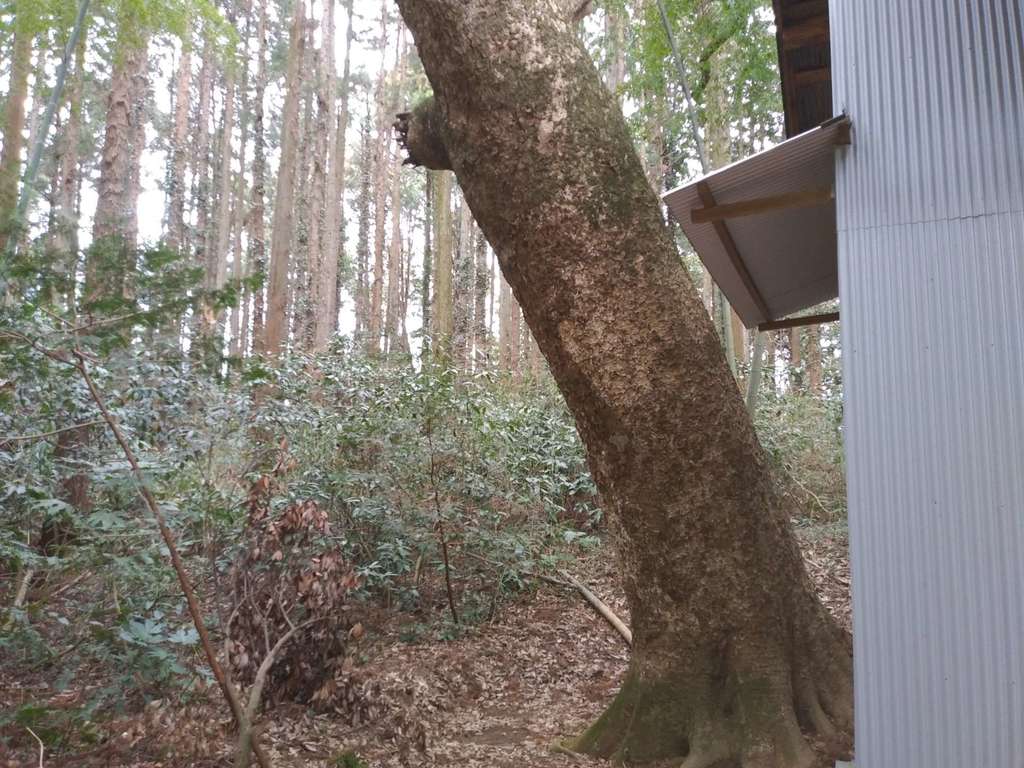 諏訪神社(茨城県大洋駅)