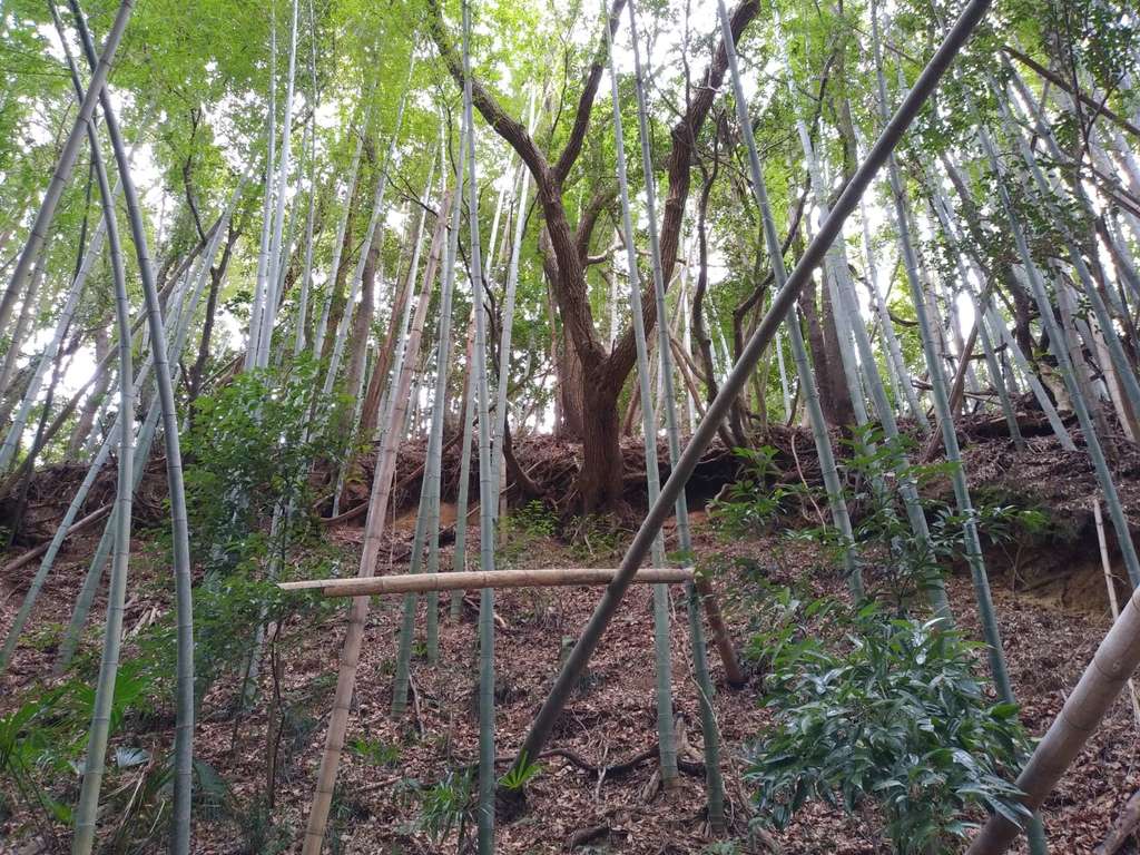 諏訪神社(茨城県大洋駅)