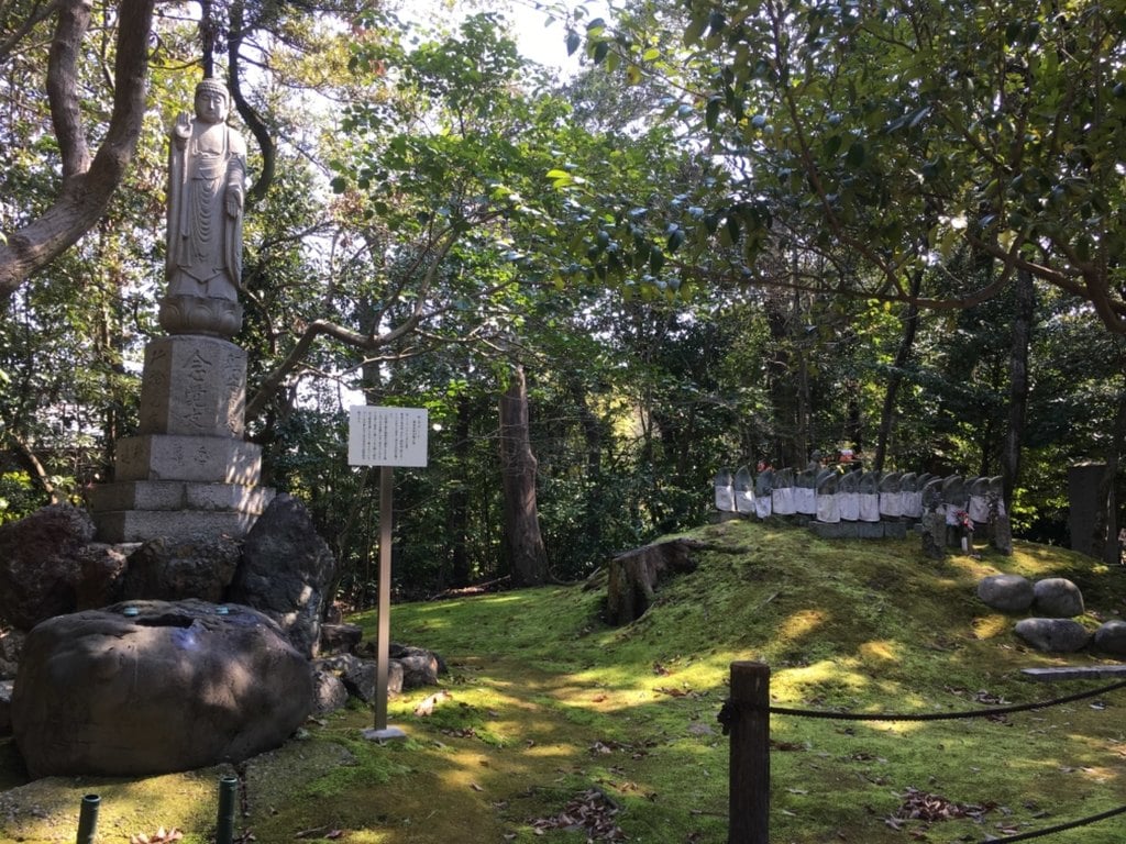 妙興報恩禅寺(妙興寺)の自然