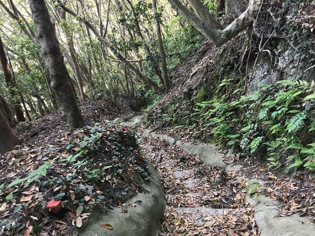 大聖院(千葉県)
