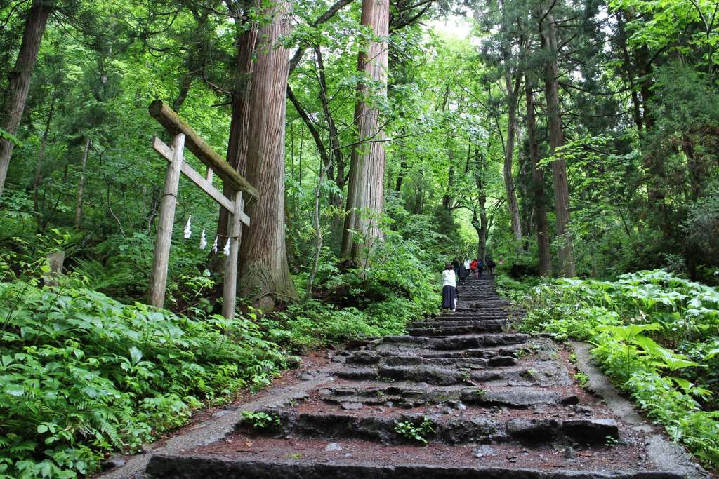 戸隠神社奥社の建物その他