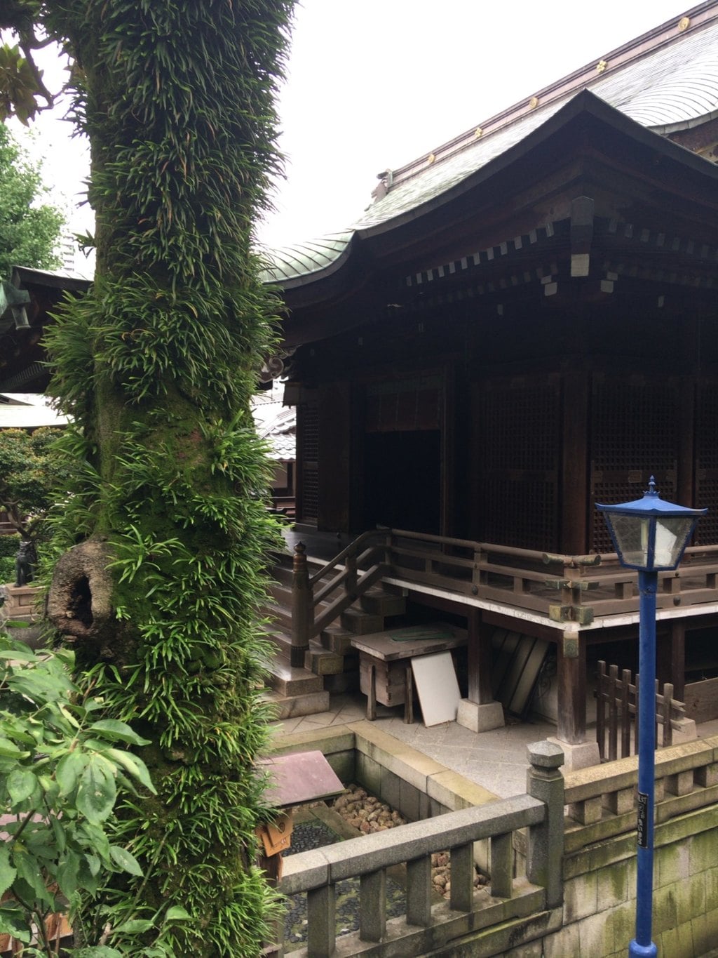 五條天神社の本殿