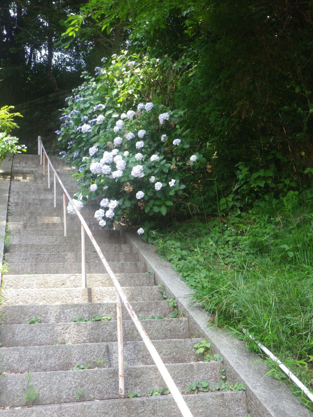 法性寺(神奈川県)
