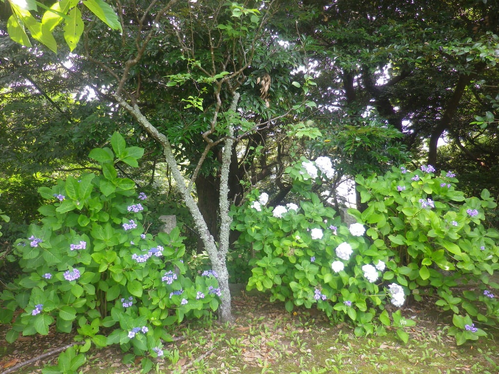 法性寺(神奈川県)