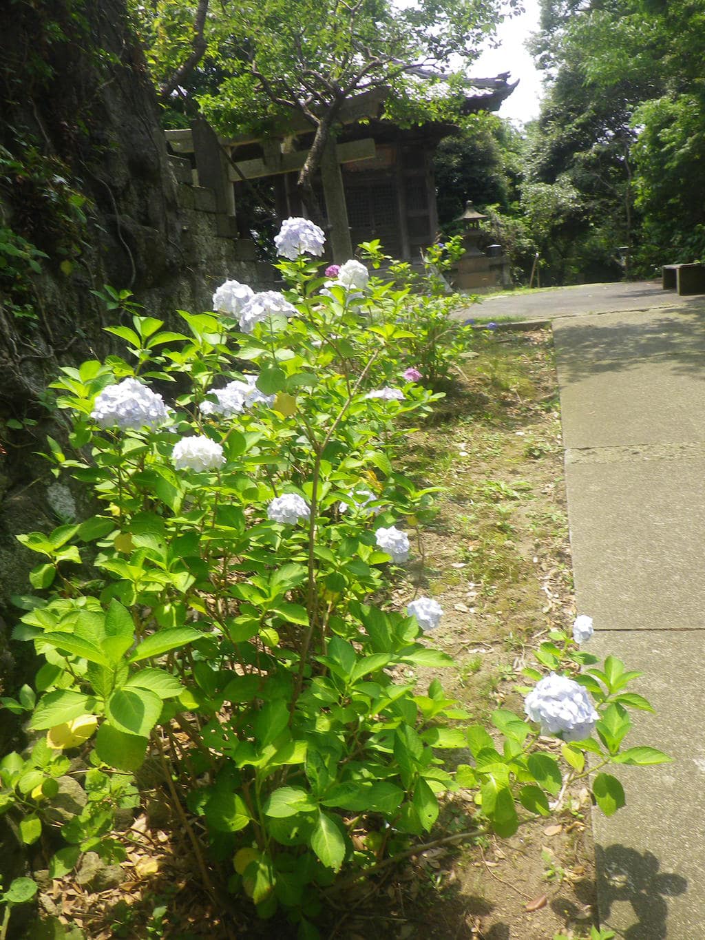 法性寺(神奈川県)