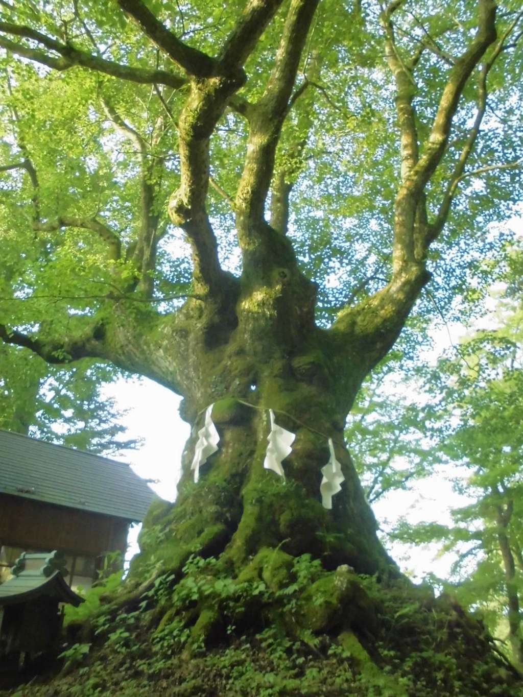熊野皇大神社(長野県)
