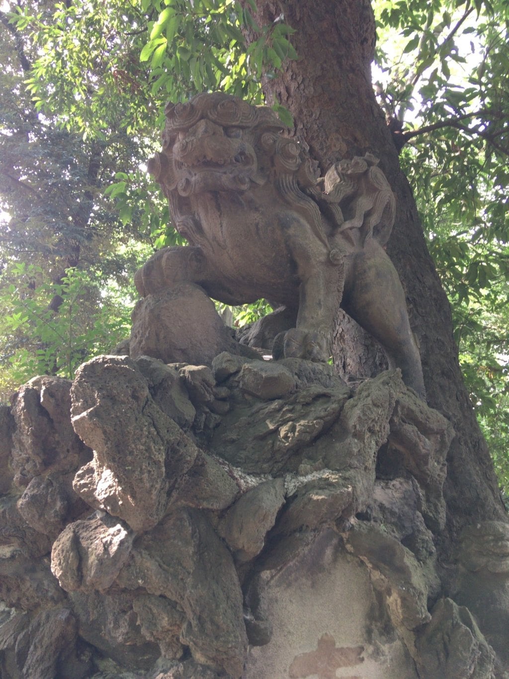 赤坂氷川神社の狛犬