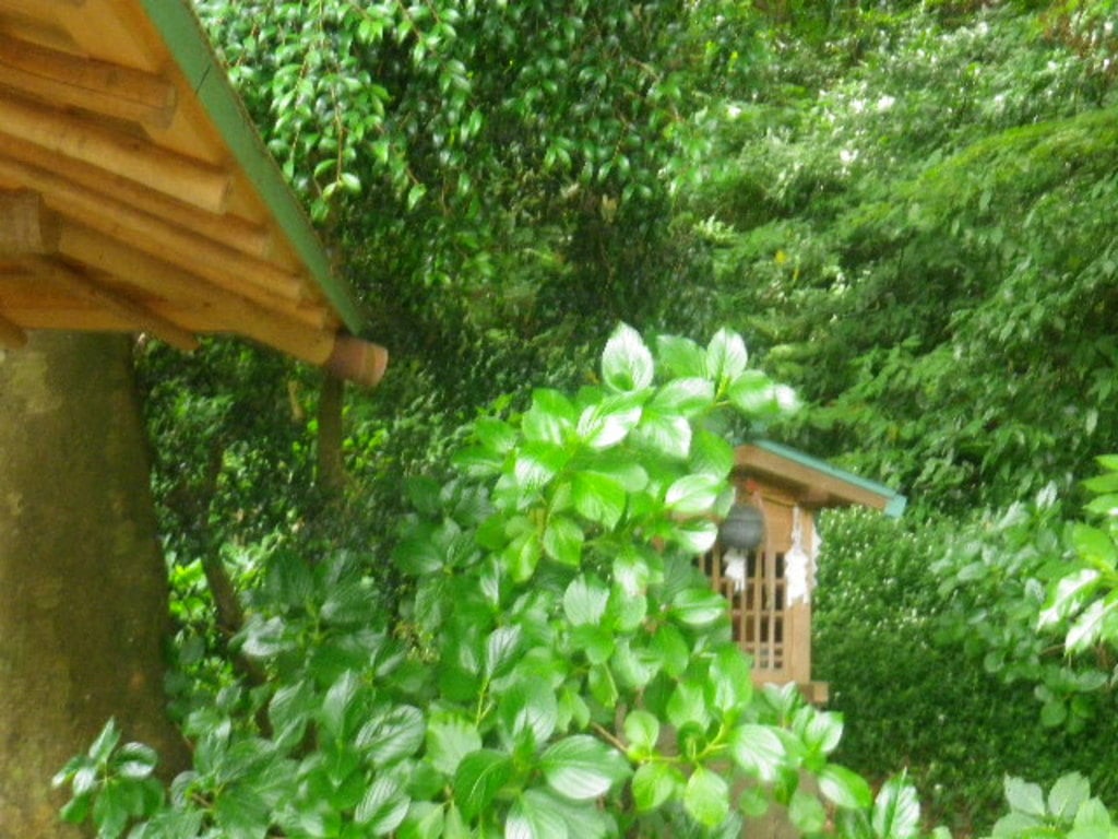 蛇苦止明神(蛇苦止堂)の自然
