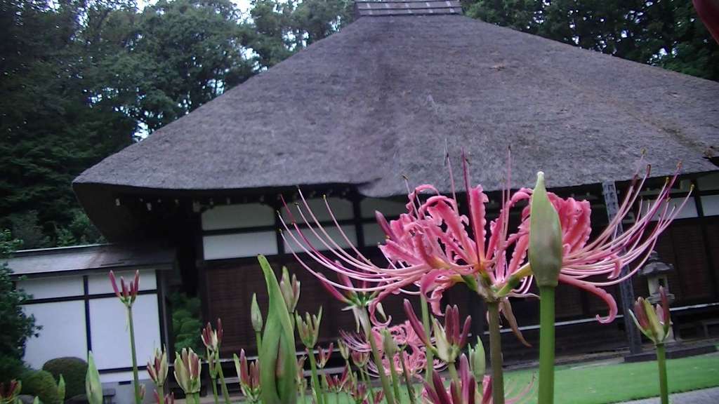 西方寺(神奈川県)