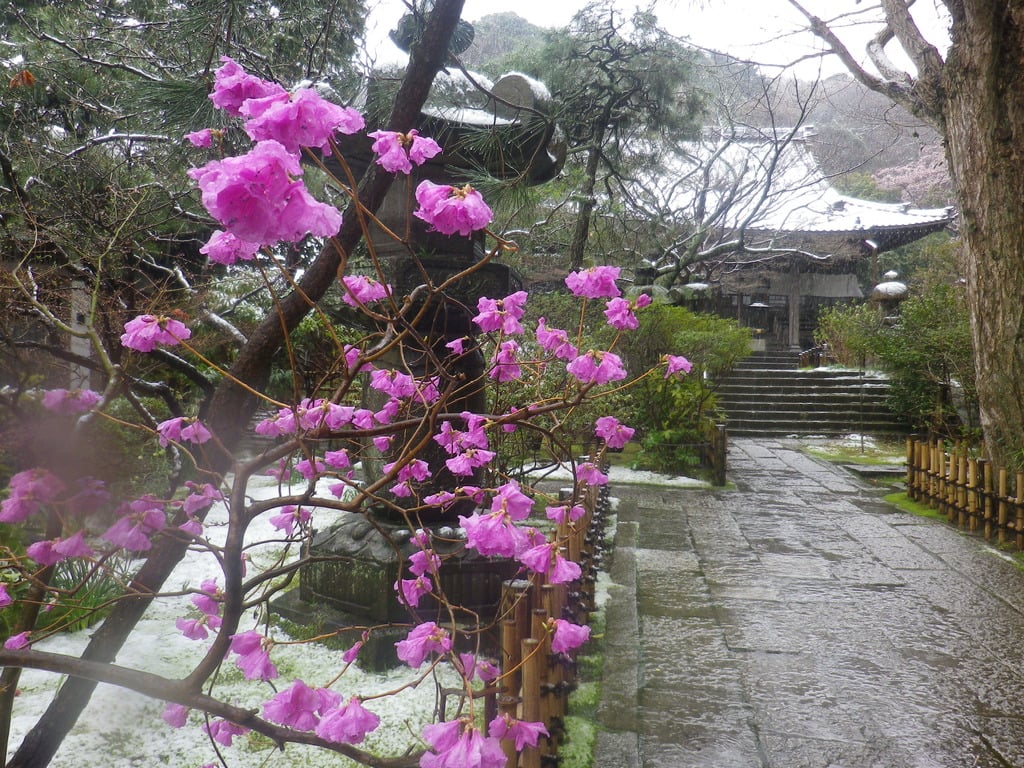 安國論寺(神奈川県)