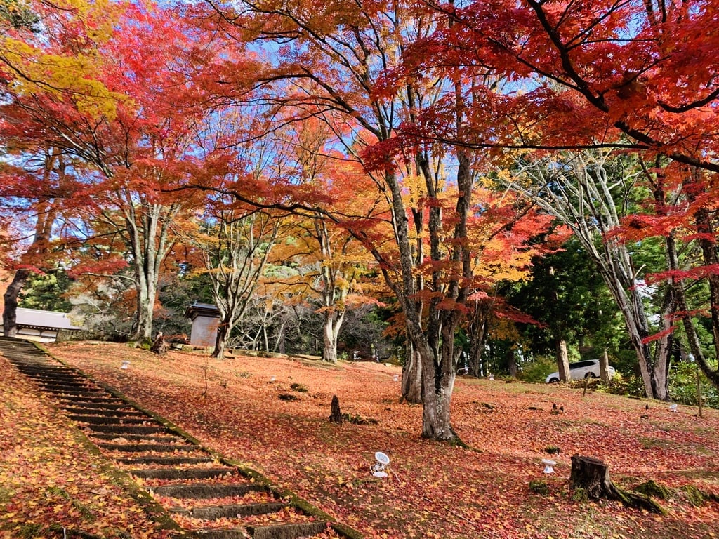 “土津神社の紅葉の様子”