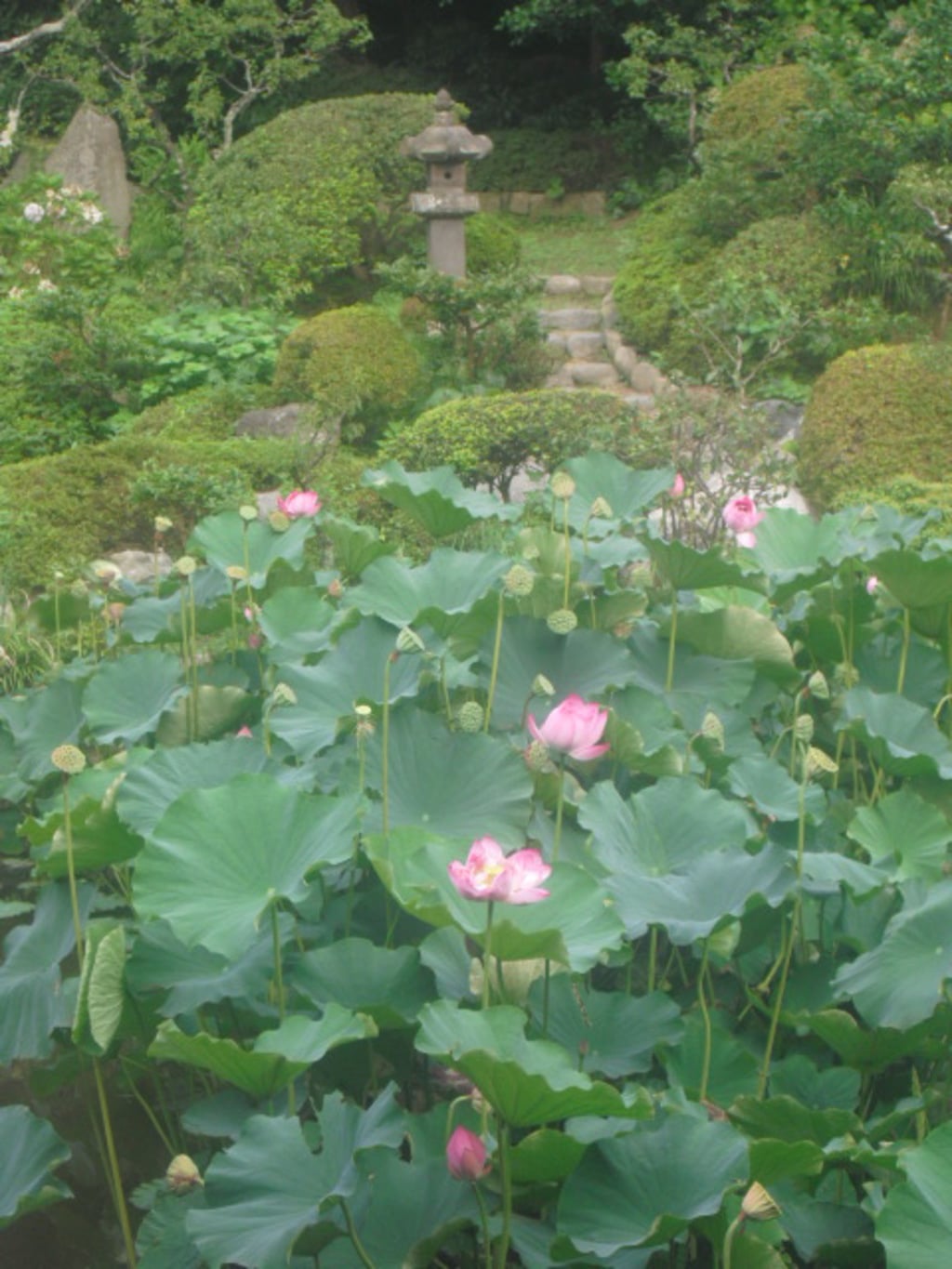 光明寺(神奈川県)