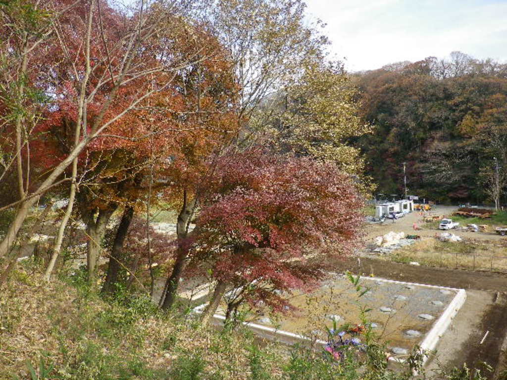 永福寺跡(神奈川県)