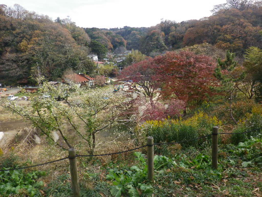 永福寺跡(神奈川県)