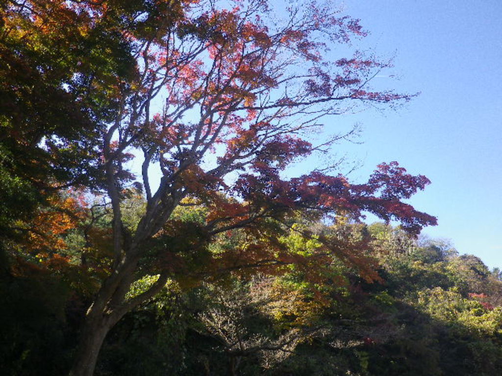 永福寺跡(神奈川県)