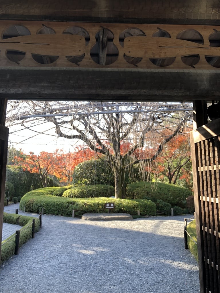 退蔵院の山門