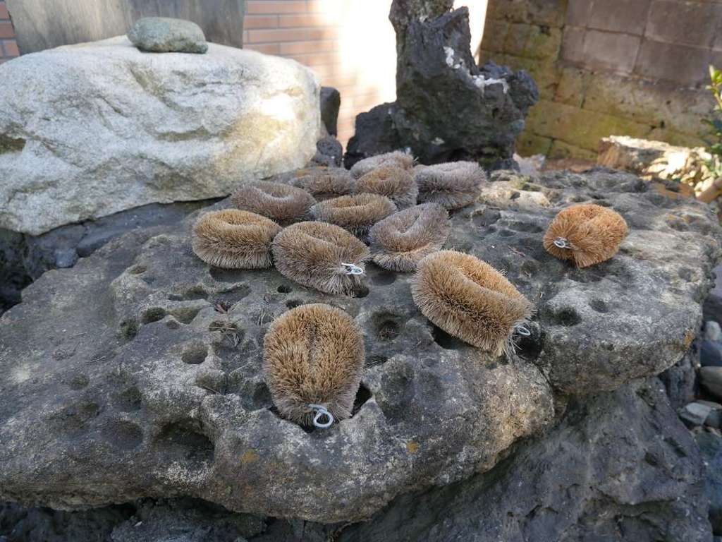 亀の子石神社（亀の子様）(神奈川県山手駅)の投稿(1回目)。 横浜市中区 ...