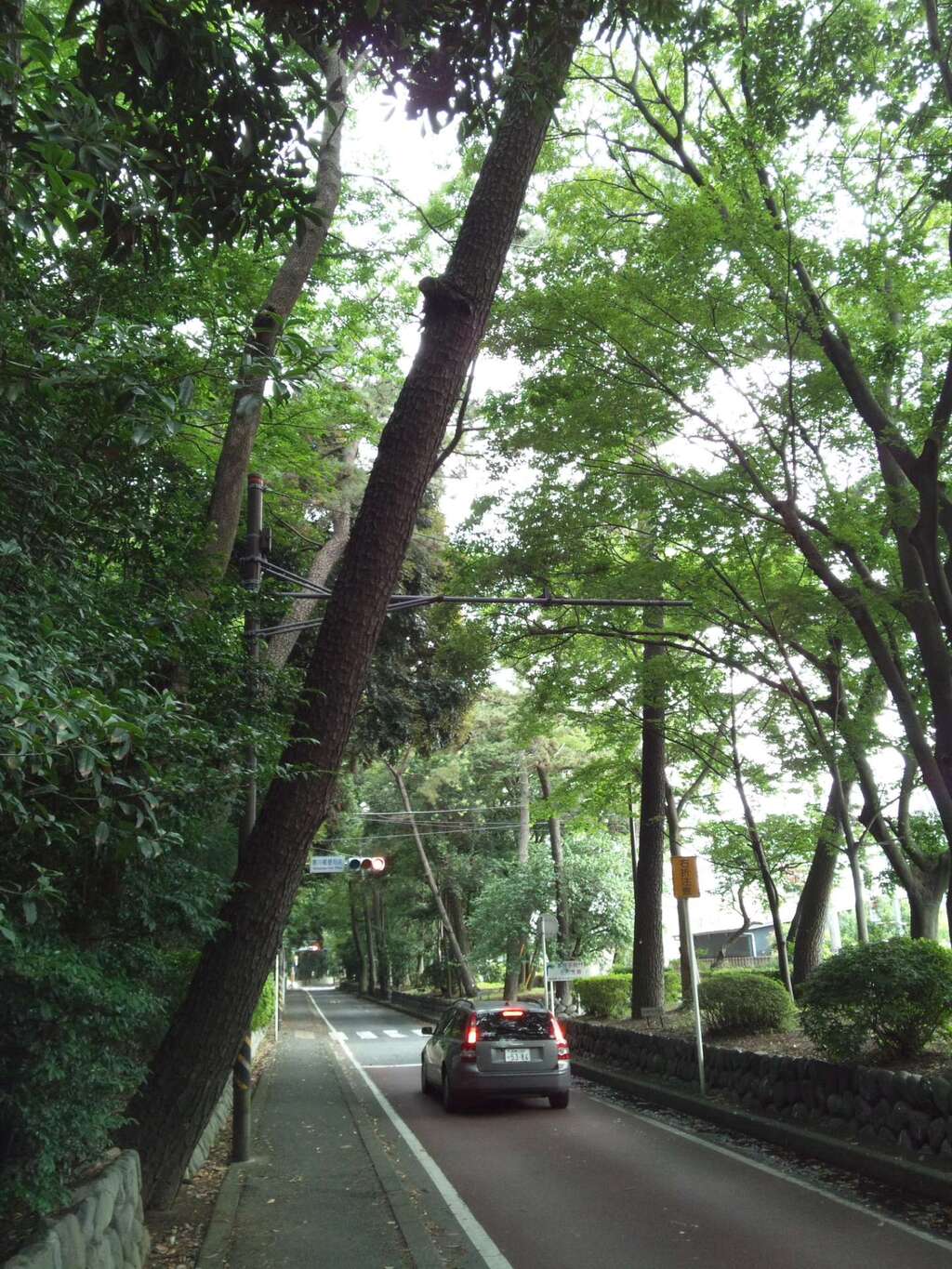 寒川神社 神奈川県宮山駅 の投稿 1回目 相模国一宮 相模国六社一宮 唯一の八方除けの守護 ホトカミ