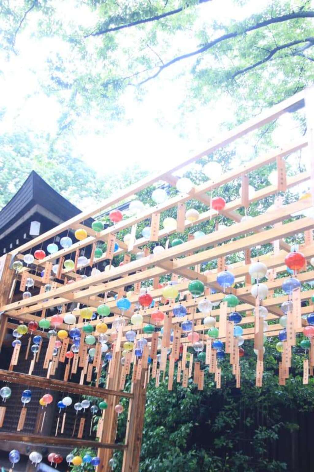 川越氷川神社 埼玉県本川越駅 の投稿 1回目 氷川神社の景色や雰囲気が好きです ホトカミ