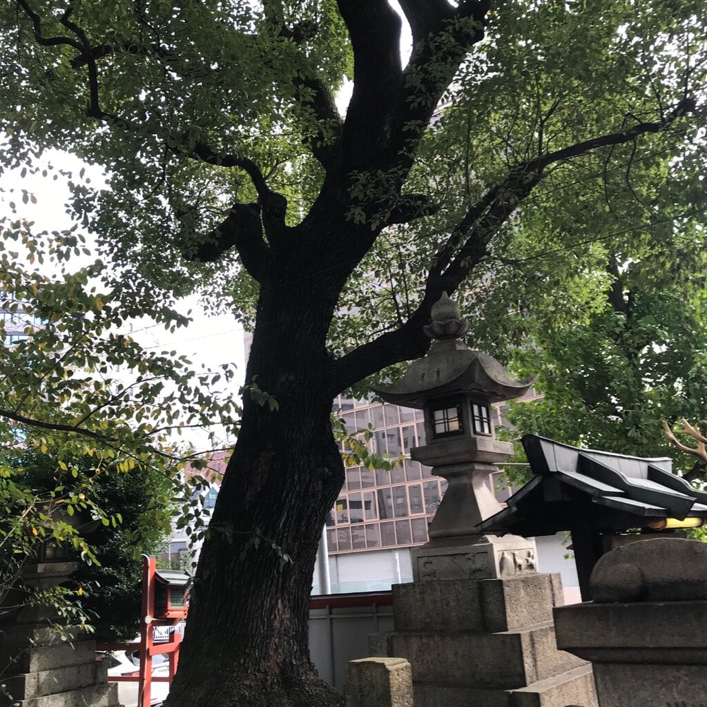 春日神社 愛知県上前津駅 のアクセス お参りの情報 ホトカミ 春日神社 愛知県上前津駅 のアクセス お参りの情報 ホトカミ