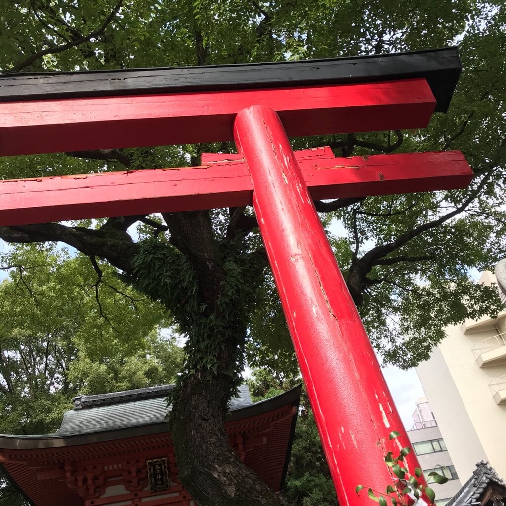 春日神社 愛知県上前津駅 のアクセス お参りの情報 ホトカミ 春日神社 愛知県上前津駅 のアクセス お参りの情報 ホトカミ