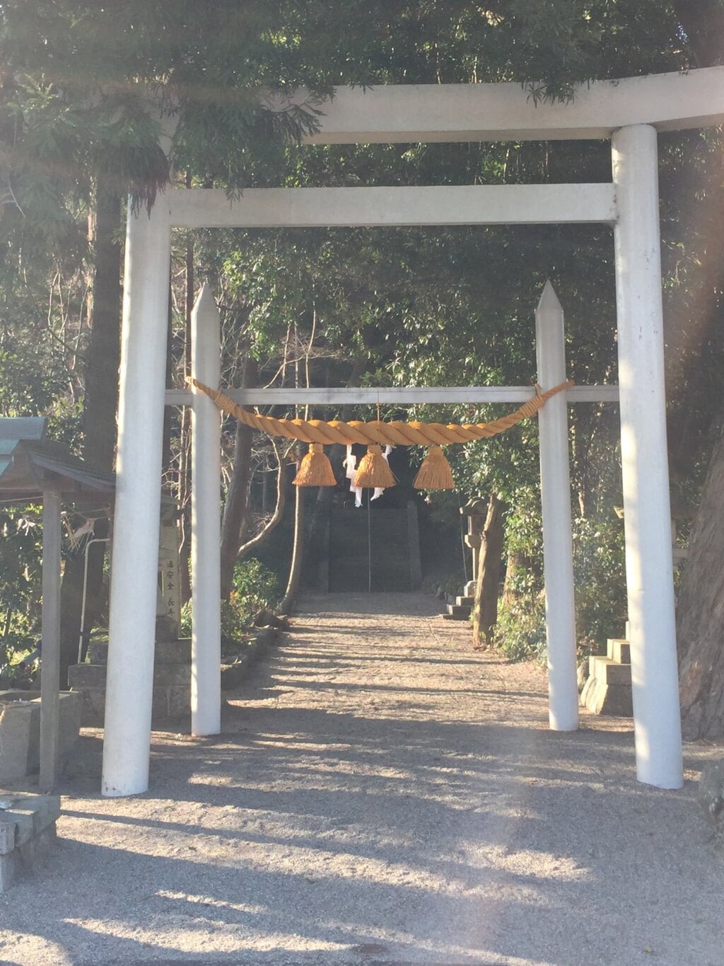 飯野高宮神山神社(三重県多気駅)の投稿(3回目)。鳥居の注連縄が新しくなっていました。 山に…[ホトカミ]