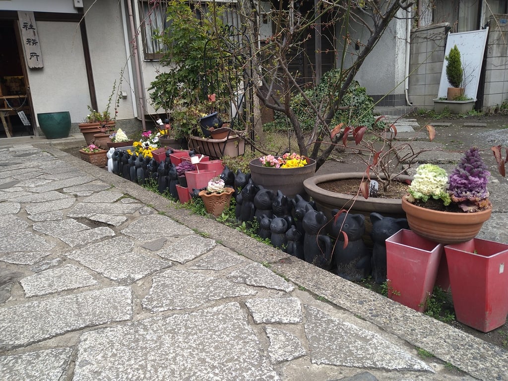 今戸神社の御朱印 アクセス情報 東京都とうきょうスカイツリー駅 ホトカミ