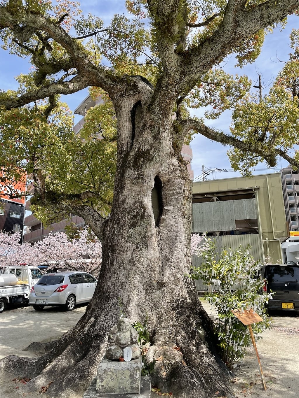 境内：本庄神社（佐賀県鍋島駅） ホトカミ 神社お寺の投稿サイト