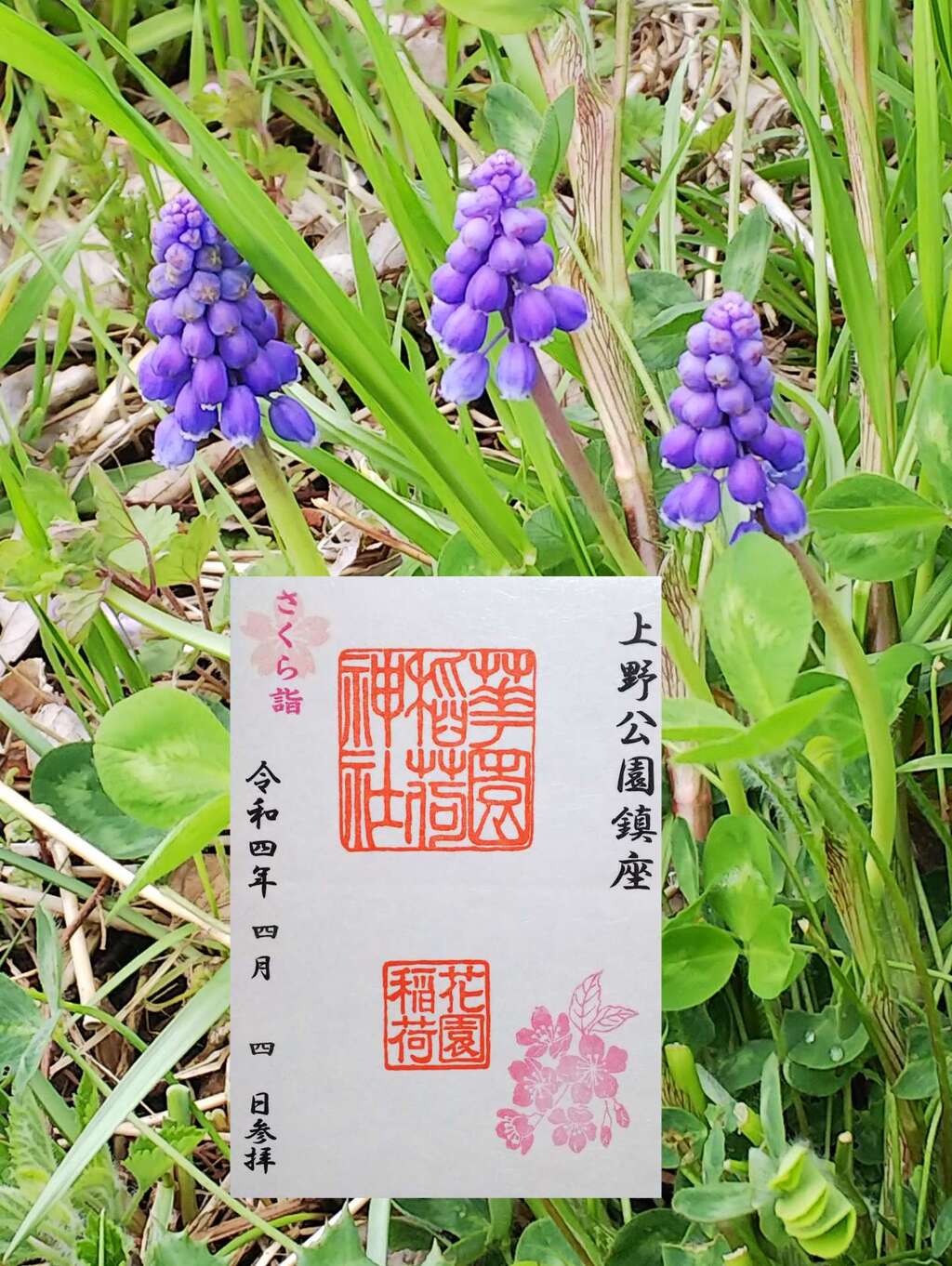 御朱印 御朱印帳 花園稲荷神社 東京都京成上野駅 ホトカミ 神社お寺の投稿サイト