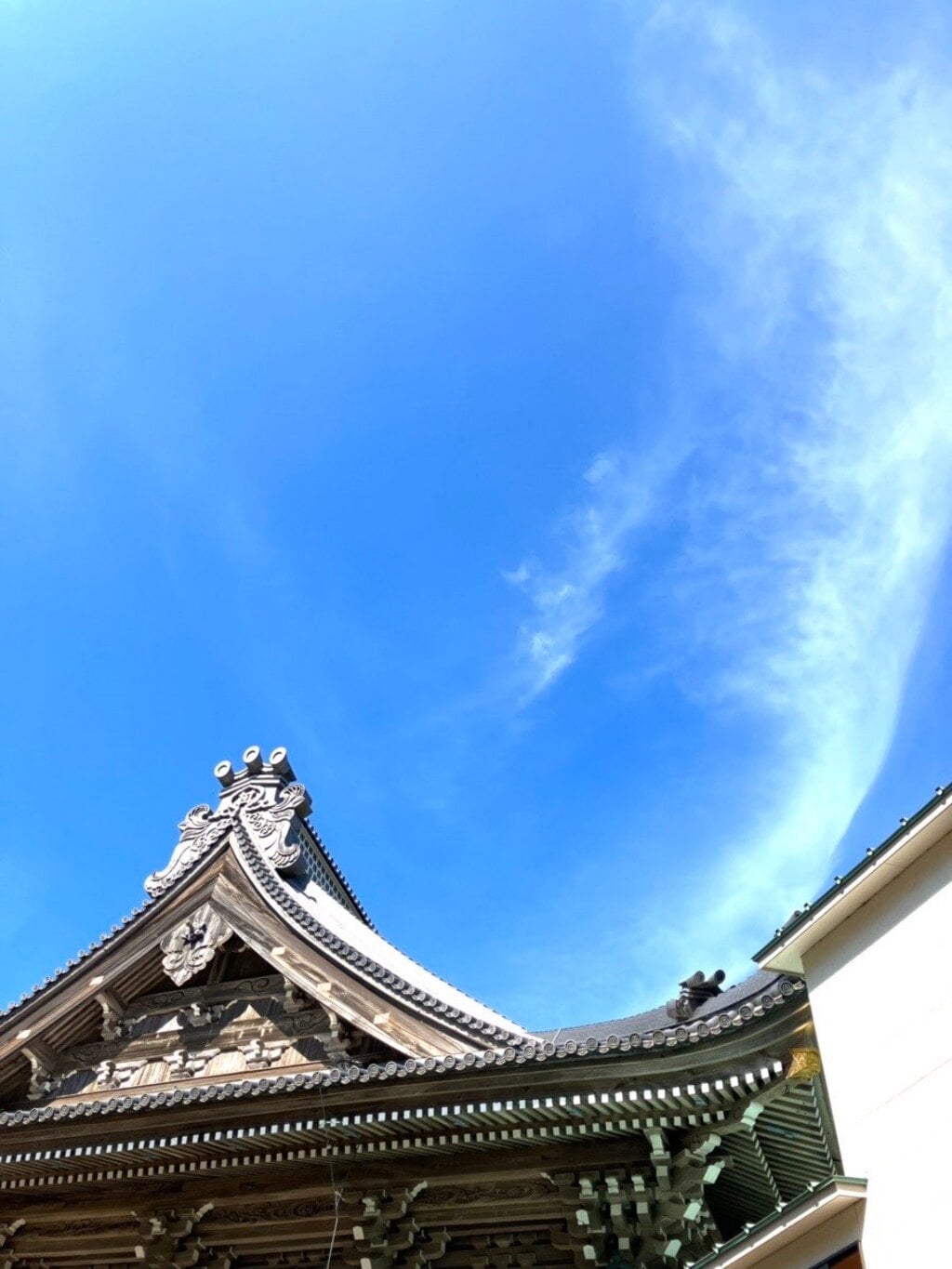 誕生寺 千葉県安房小湊駅 の投稿 1回目 誕生寺 何度か訪れていますが この日は ホトカミ