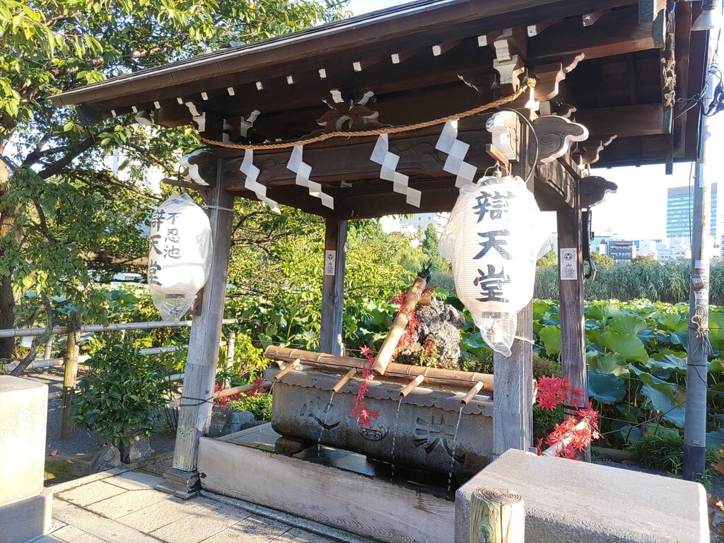 寛永寺不忍池弁天堂(東京都上野御徒町駅)の投稿(1回目)。美術展の前に上野公園を散策、寛永寺不忍池弁天堂を…[ホトカミ]