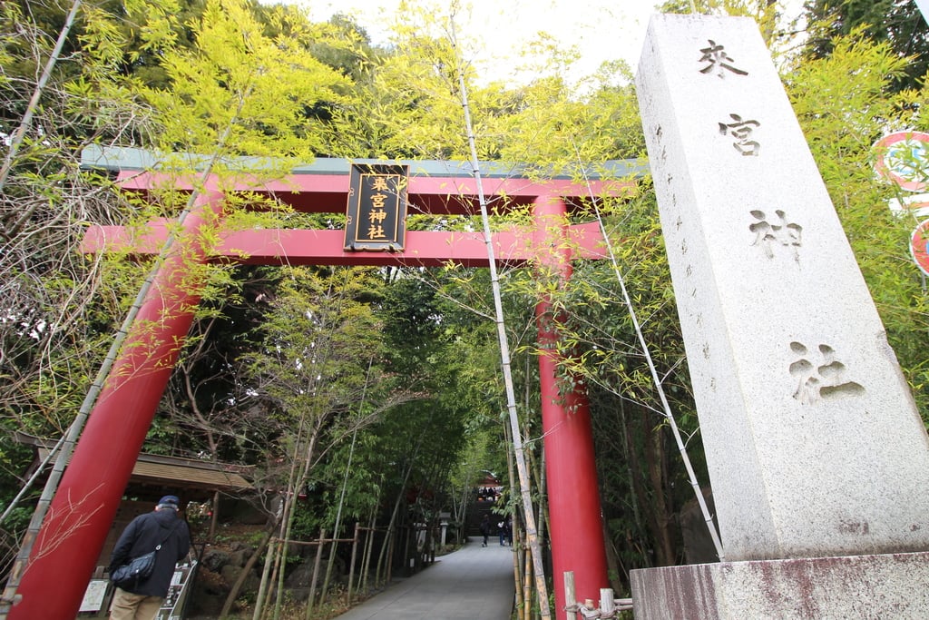 來宮神社(静岡県来宮駅)の投稿(1回目)。来福、縁起の神様を祀る神社 恋愛成就や禁酒祈祷の…[ホトカミ]