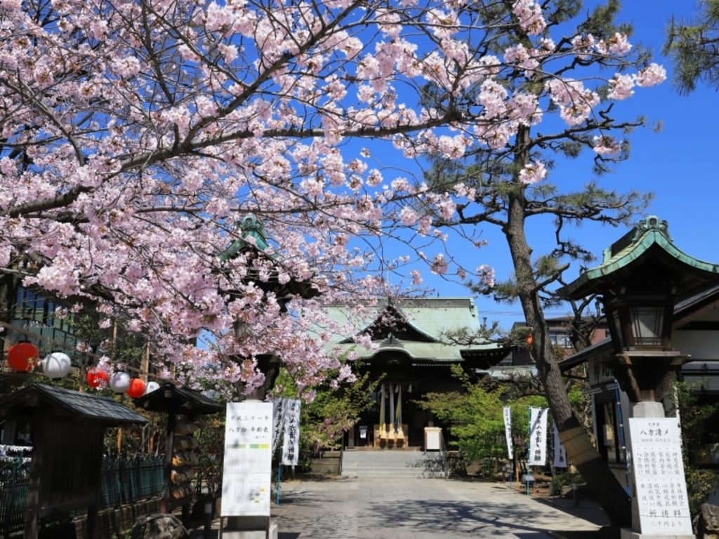 桜神宮(東京都桜新町駅)の投稿(1回目)。素敵な神社。御朱印帳もかわいい。[ホトカミ]