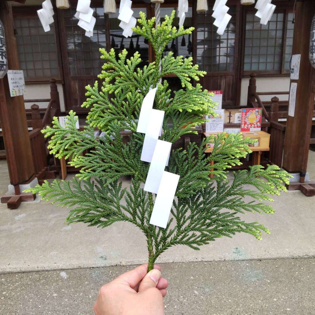 神事で使用する「玉串(たまぐし)」を奉製いたしました🌳 七重浜海津見神社(北海道七重浜駅)からのお知らせ|ホトカミ