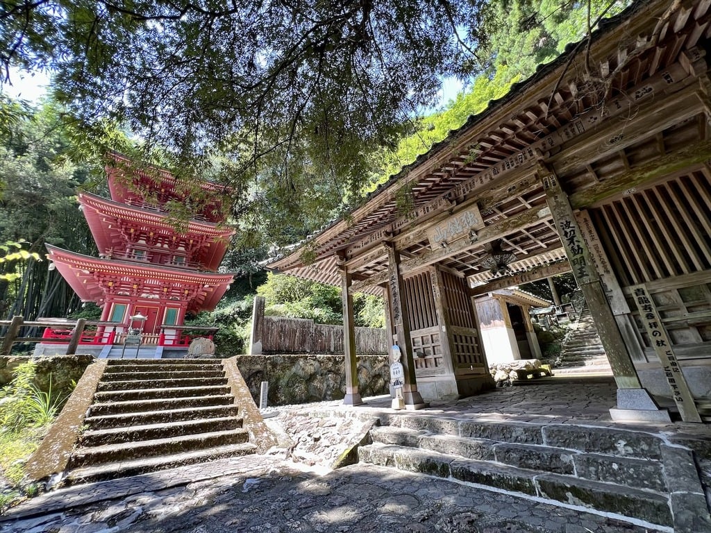 青龍寺の御朱印・アクセス情報（高知県波川駅）（真言宗豊山派）|ホトカミ